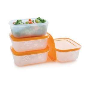 Tupperware Freezer Mates Plus Small Shallows Freezer Storage | QAIY65042