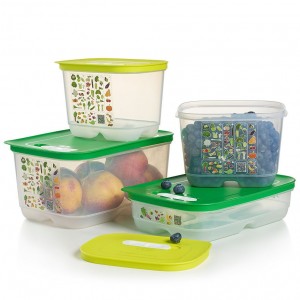 Tupperware Fridgesmart 4-pc. Starter Set Green / Deep Refrigerator Storage | OHXE07841