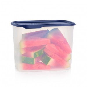 Tupperware One Touch Fresh Rectangular 18 1/2-cup/4.4 L Nocturnal Sea Refrigerator Storage | UEVN79620