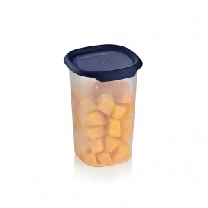 Tupperware One Touch Fresh Small Square 5 1/4-cup/1.25 L Nocturnal Sea Refrigerator Storage | QSXI09536