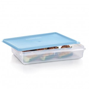 Tupperware Snack-stor Large Container Ice Cube Refrigerator Storage | KDQH95401