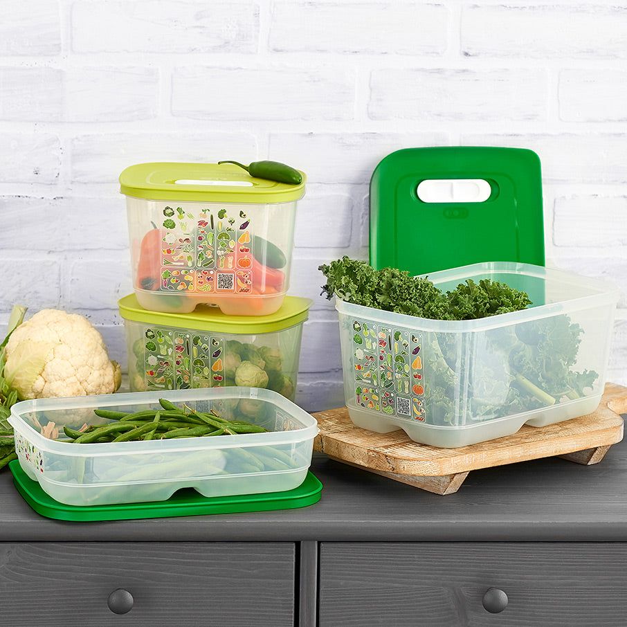 Tupperware Fridgesmart 4-pc. Starter Set Green / Deep Refrigerator Storage | OHXE07841