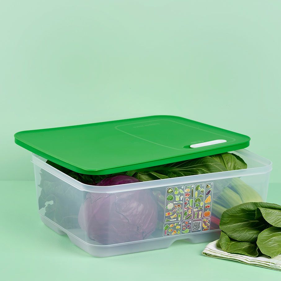 Tupperware Fridgesmart Extra Large Lettuce Leaf Refrigerator Storage | RONU28310