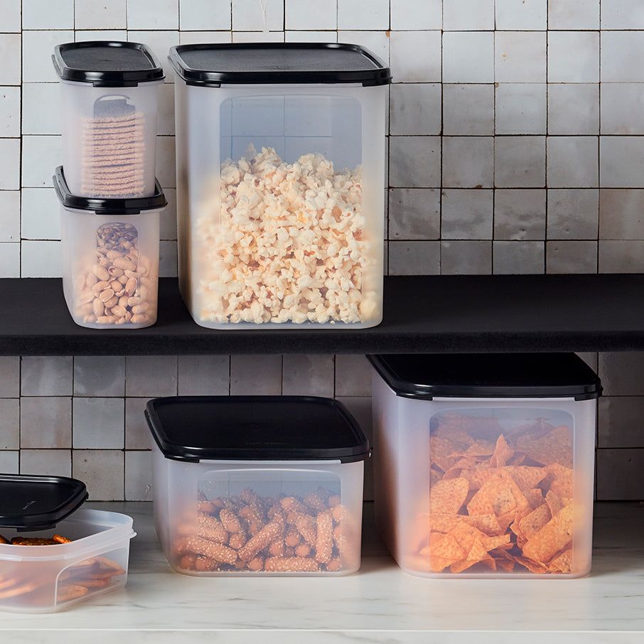 Tupperware Modular Mates Rectangular 2 Dry Storage | WIDJ09214