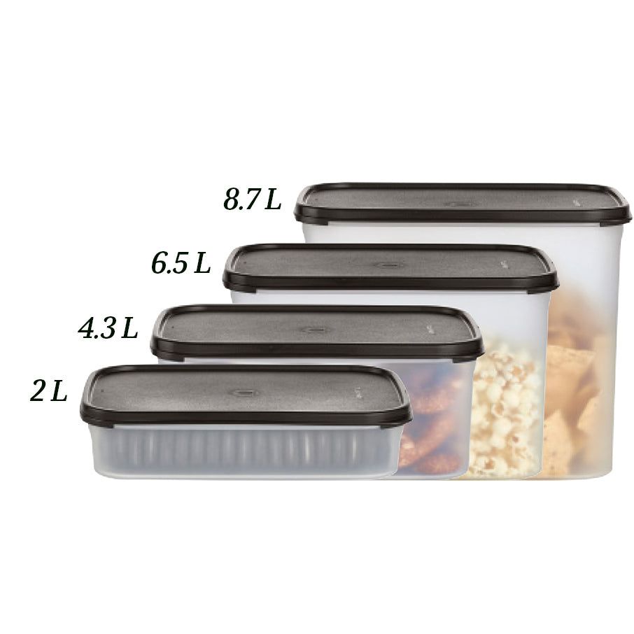 Tupperware Modular Mates Rectangular 2 Dry Storage | WIDJ09214