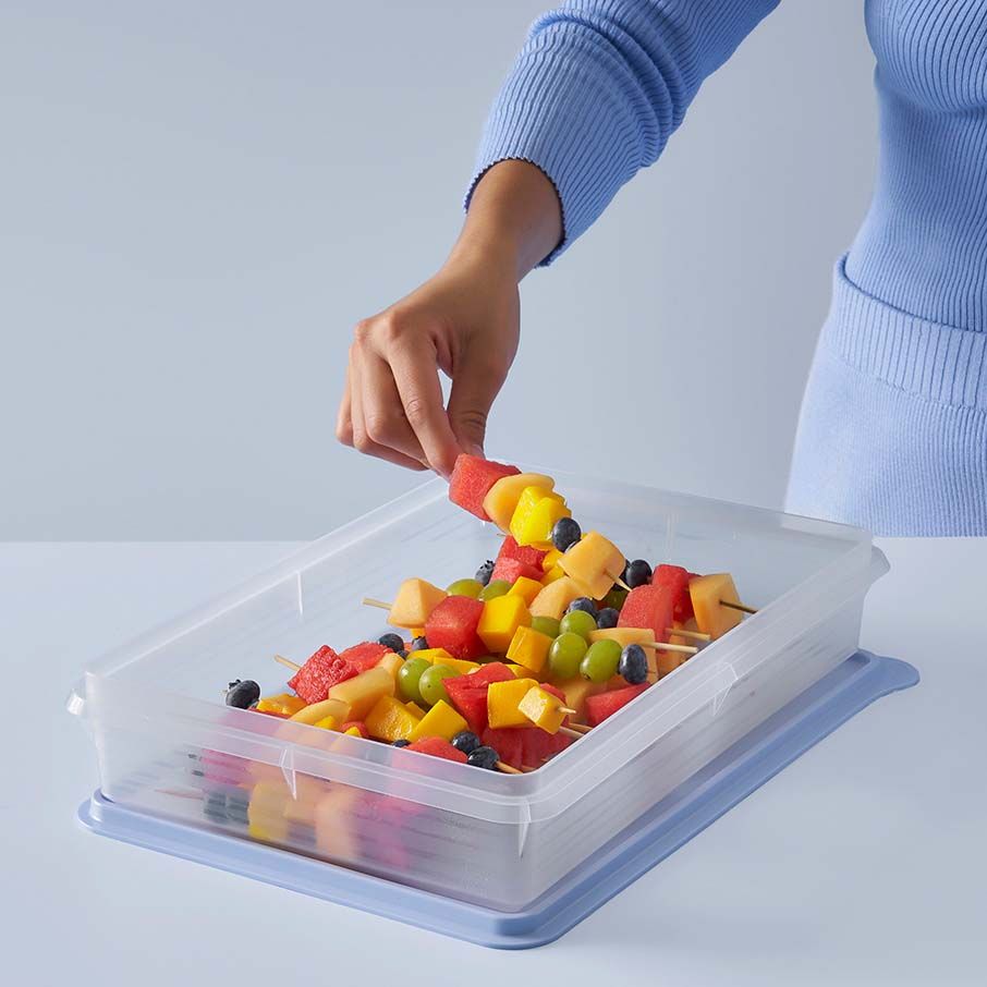 Tupperware Snack-stor Large Container Ice Cube Refrigerator Storage | KDQH95401