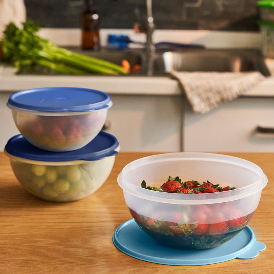 Tupperware Wonderlier Bowl 3-pc. Set sIce Cube Baking | CSUM43068